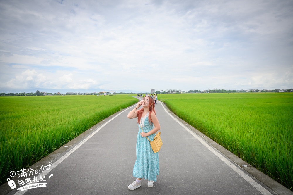 【宜蘭三奇美徑】冬山伯朗大道,宜蘭冬山稻間美徑,大自然絕美的彩稻布畫!