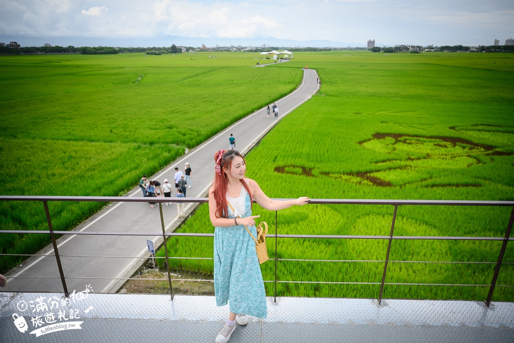 【宜蘭三奇美徑】冬山伯朗大道,宜蘭冬山稻間美徑,大自然絕美的彩稻布畫!