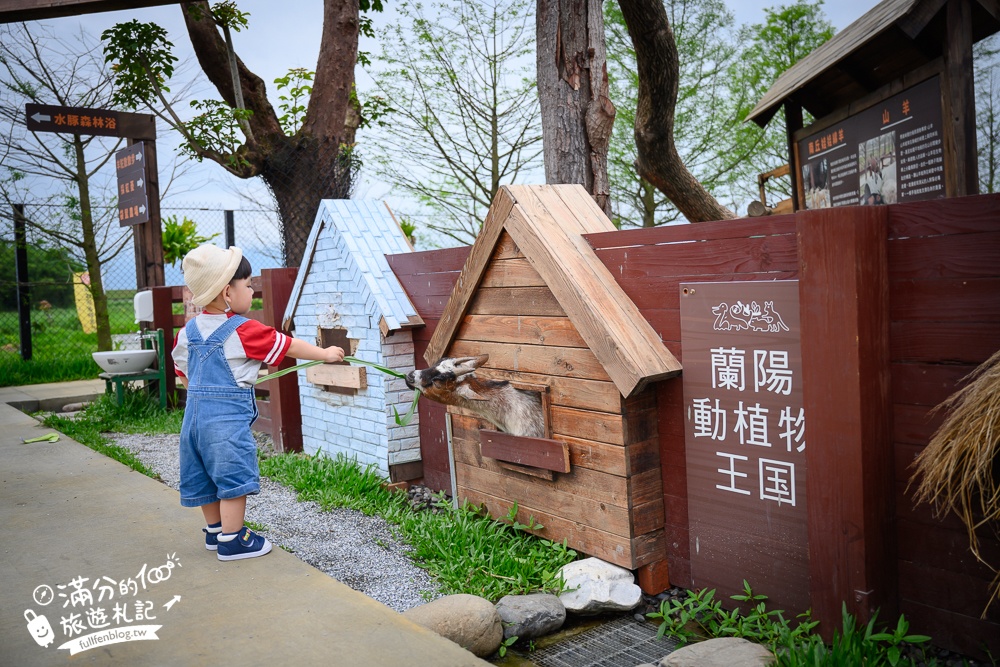 【2025蘭陽動植物王國最新場域玩樂攻略】TOP10必玩主題推薦.澳洲袋鼠.大白鵜鶘.巨嘴鳥.泰迪羊通通可以互動餵食,還能玩手作划船超特別!