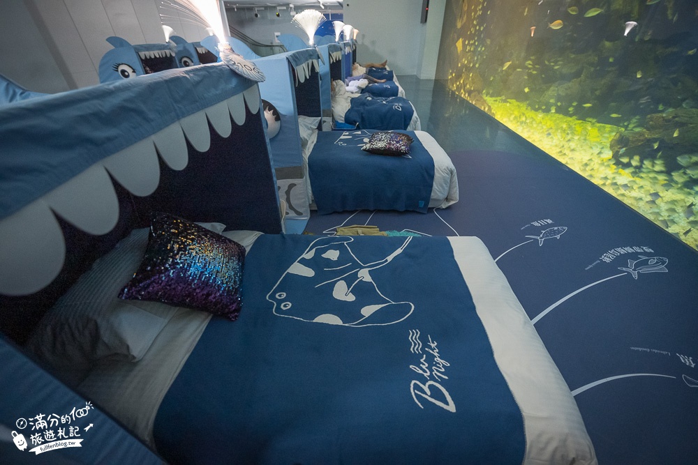桃園景點|夜宿Xpark水族館.一泊四食,沉浸式水族冒險體驗之旅|海景第一排,與魚群們一起入眠!