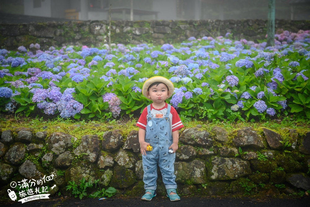 【2025北宜石牌縣界公園】現正美~免門票繡球花園,還可以看到龜山島和蘭陽平原的繡球秘境!