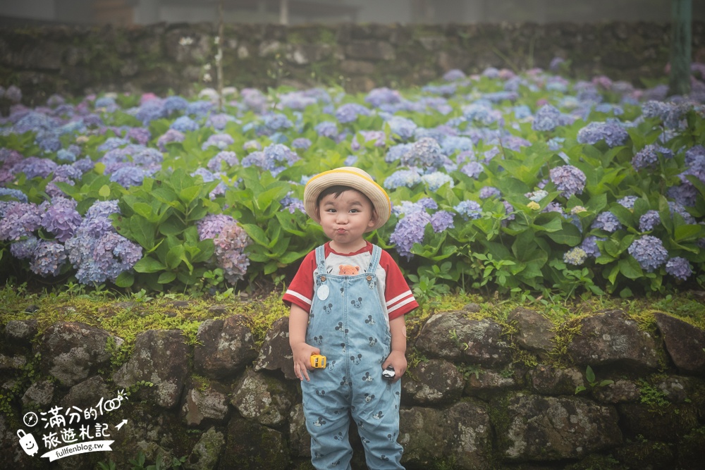 【2025北宜石牌縣界公園】現正美~免門票繡球花園,還可以看到龜山島和蘭陽平原的繡球秘境!