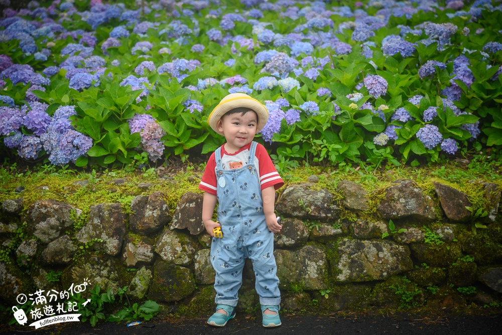 【2025北宜石牌縣界公園】現正美~免門票繡球花園,還可以看到龜山島和蘭陽平原的繡球秘境!