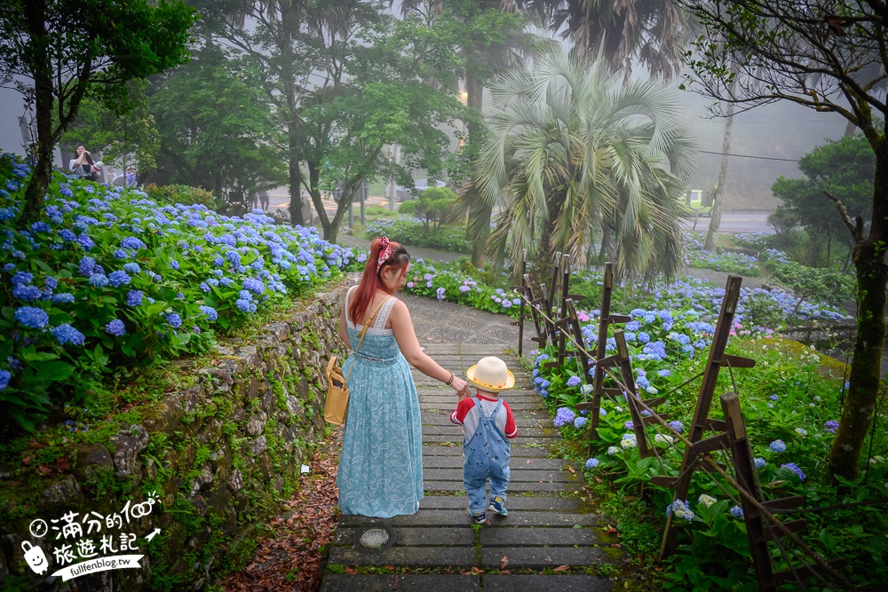 【2025北宜石牌縣界公園】現正美~免門票繡球花園,還可以看到龜山島和蘭陽平原的繡球秘境!
