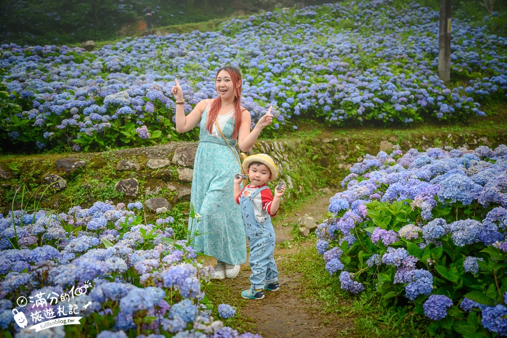 【2025北宜石牌縣界公園】現正美~免門票繡球花園,還可以看到龜山島和蘭陽平原的繡球秘境!
