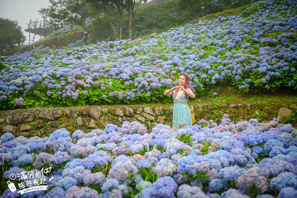 【2025北宜石牌縣界公園】現正美~免門票繡球花園,還可以看到龜山島和蘭陽平原的繡球秘境!