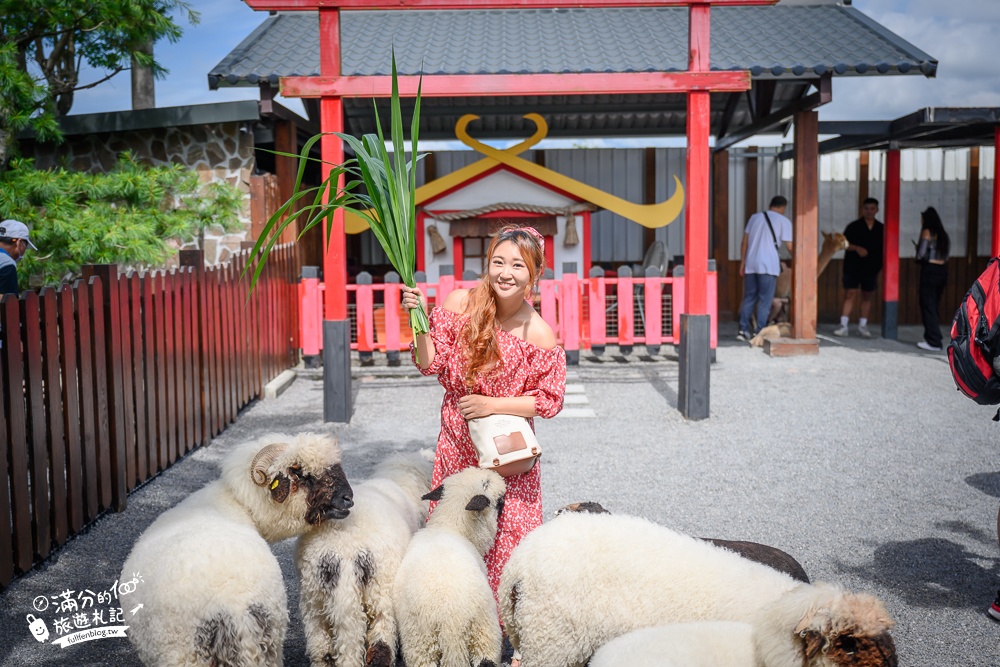 【樹懶餐廳】原張美阿嬤農場2.0版.根本是三星鄉迷你動物園,最新萌寵高地牛登場.還能近距離與樹懶互動超特別！