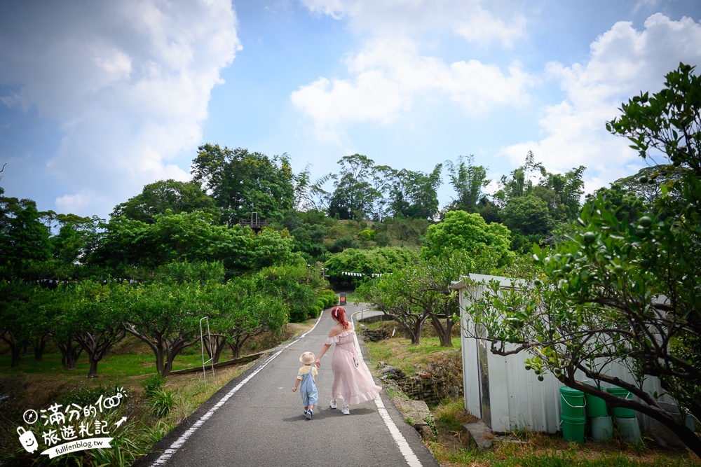 【2025苗栗橙香森林夏日旅行提案】頭屋必拍橘子園,玻璃屋裡吹冷氣玩手作,品嚐橘子入菜料理超享受!