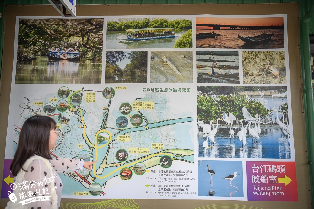 台南【四草綠色隧道】2024最新門票資訊&台南親子同遊登船玩樂攻略,台灣迷你版的亞馬遜河,台南最美水上紅樹林河道!