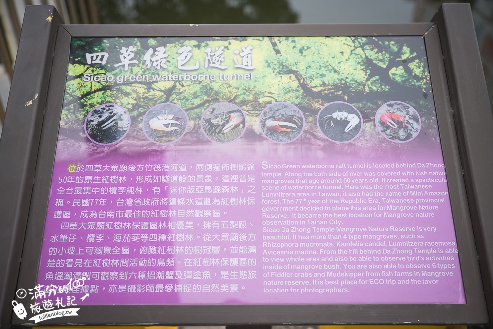 台南【四草綠色隧道】2024最新門票資訊&台南親子同遊登船玩樂攻略,台灣迷你版的亞馬遜河,台南最美水上紅樹林河道!