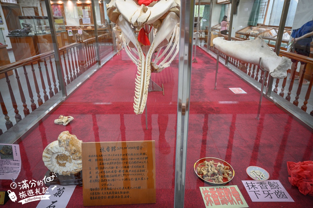 台南【四草綠色隧道】2024最新門票資訊&台南親子同遊登船玩樂攻略,台灣迷你版的亞馬遜河,台南最美水上紅樹林河道!