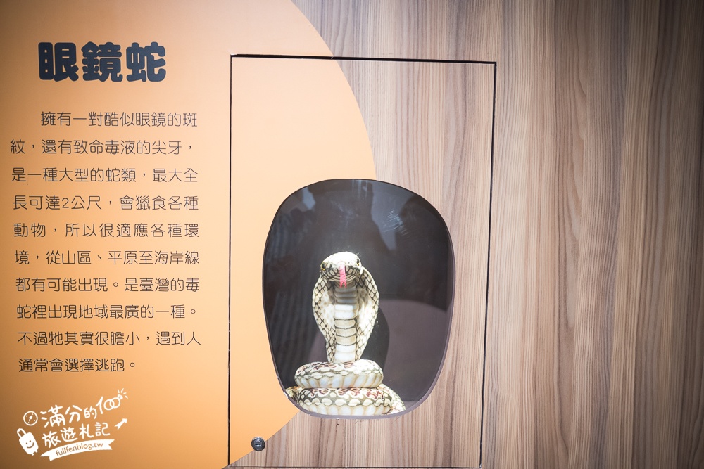 【小叮噹科學主題樂園】2025最新門票資訊&玩樂攻略!新竹親子必玩,可以玩雪玩水的主題樂園!