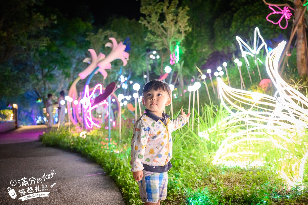 【2024大古山登山步道公園夏日繽紛派對】最新點燈活動時間.欣賞城市燈海,來趟森林裡的奇幻旅程!