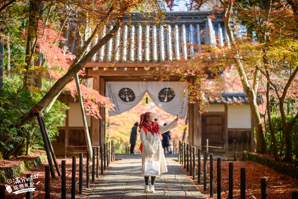 【2023京都楓葉攻略】京都大阪必去10個賞楓景點,日本紅葉時間預測出爐啦！