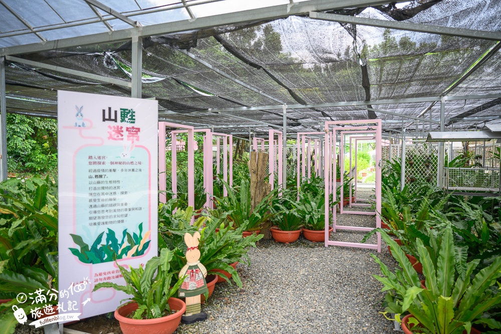 【粉牛樂園體驗農場】嘉義最新荷蘭村(原綠盈牧場),看乳牛.玩賽鵝.划船體驗,嘉義中埔親子放電景點!
