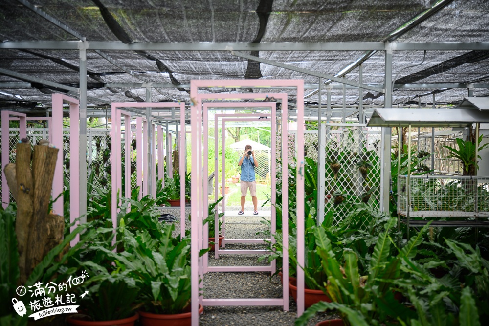 【粉牛樂園體驗農場】嘉義最新荷蘭村(原綠盈牧場),看乳牛.玩賽鵝.划船體驗,嘉義中埔親子放電景點!