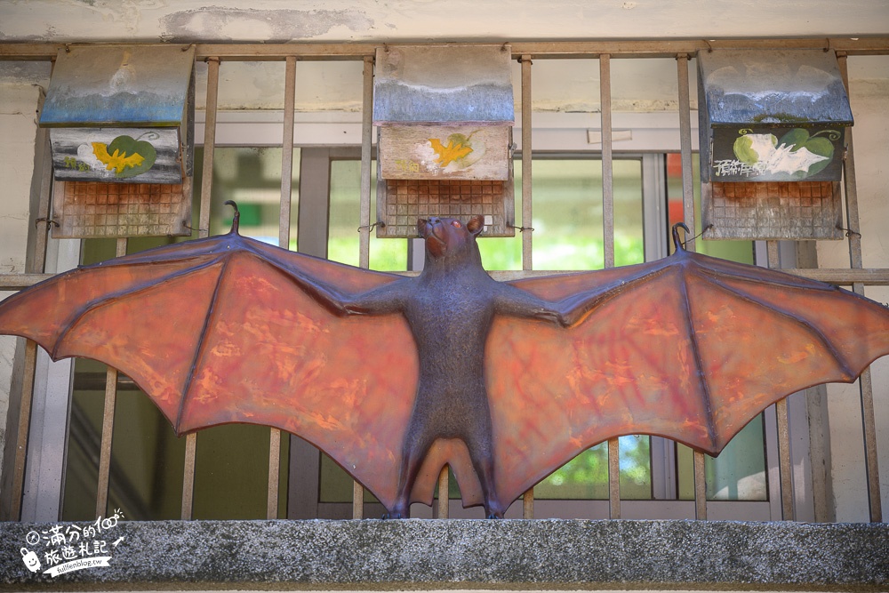 雲林景點|黃金蝙蝠生態館(免門票)探索蝙蝠日常.巨大蝙蝠屋,看的到真的蝙蝠~童趣十足的蝙蝠村!