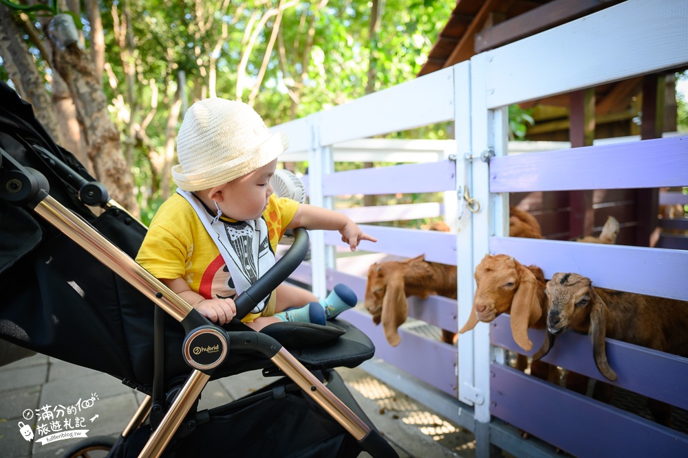 台南景點【樹谷農場】最新門票資訊.親子同遊餵食小動物好好玩!