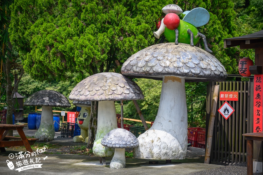 溪頭必吃美食【菇神鹿谷店】米其林必比登推薦餐廳,巨無霸香菇童趣好拍,招牌百鍋鍋套餐平價又澎湃!