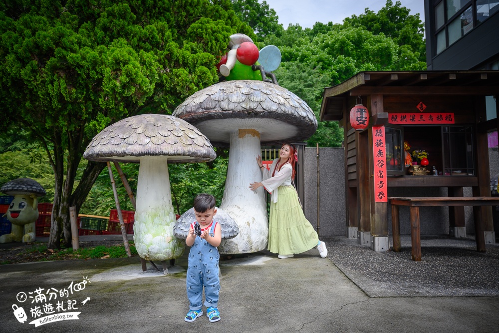 溪頭必吃美食【菇神鹿谷店】米其林必比登推薦餐廳,巨無霸香菇童趣好拍,招牌百鍋鍋套餐平價又澎湃!