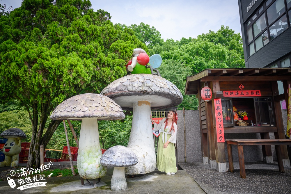 溪頭必吃美食【菇神鹿谷店】米其林必比登推薦餐廳,巨無霸香菇童趣好拍,招牌百鍋鍋套餐平價又澎湃!