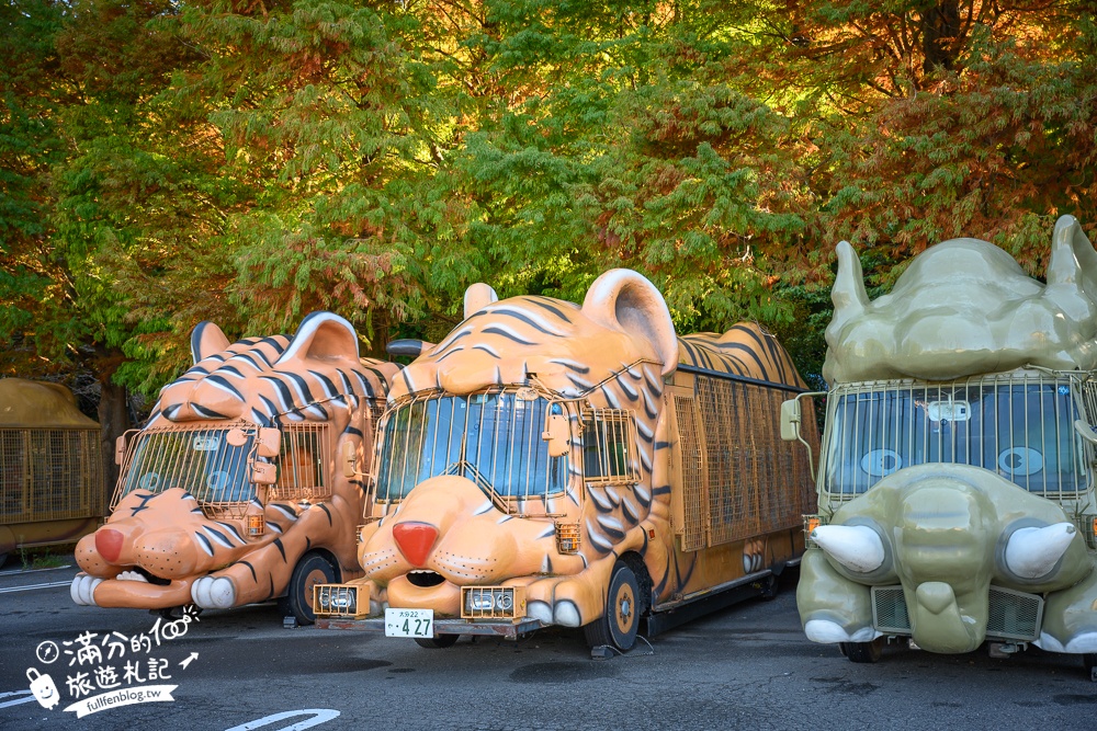【九州自然動物園】叢林巴士購票玩樂攻略!體驗餵獅子大象和駱駝,還能和長頸鹿合影超震撼!