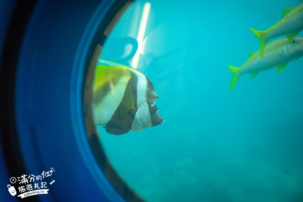 沖繩【海中展望塔】部瀬名海中公園必玩360環景圓窗看魚,以及海底玻璃船,沖繩雨天備案景點!