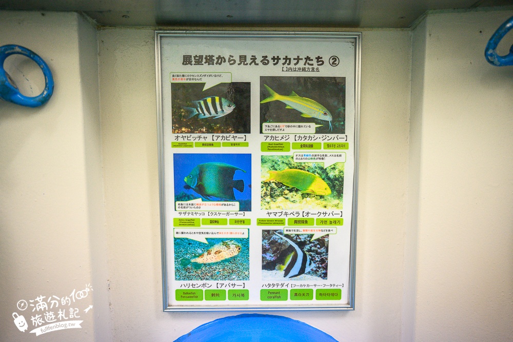 沖繩【海中展望塔】部瀬名海中公園必玩360環景圓窗看魚,以及海底玻璃船,沖繩雨天備案景點!