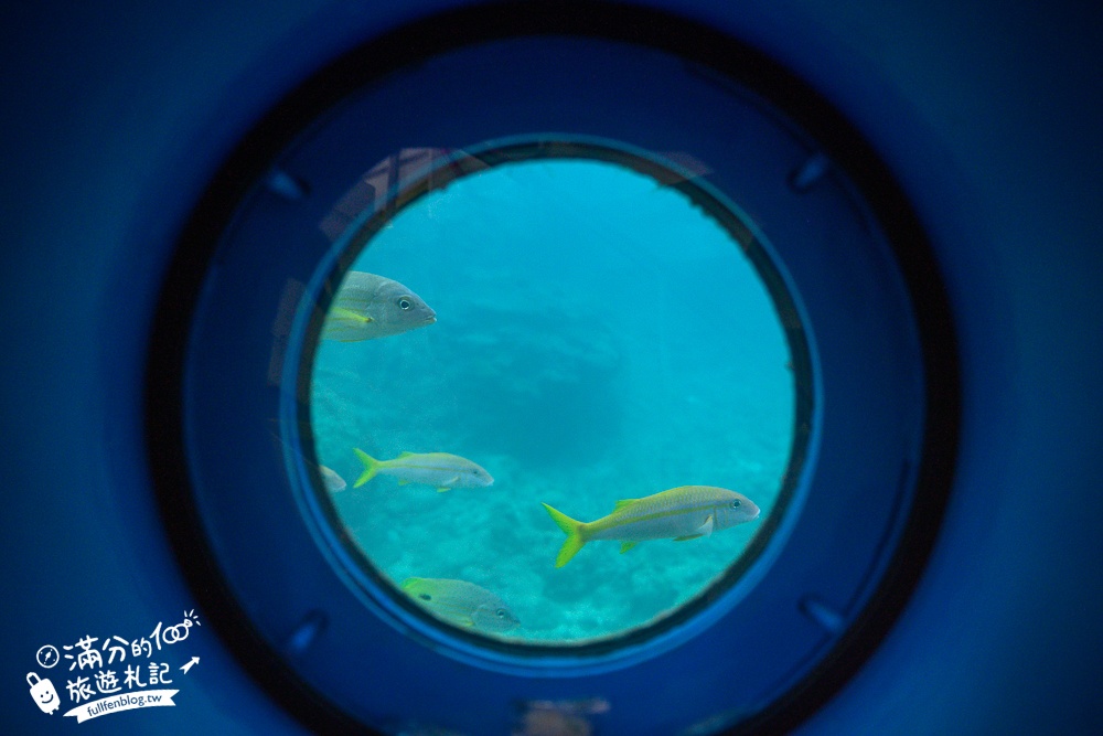 沖繩【海中展望塔】部瀬名海中公園必玩360環景圓窗看魚,以及海底玻璃船,沖繩雨天備案景點!
