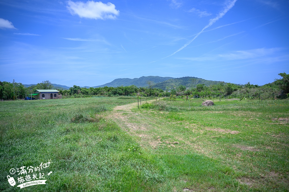 【屏東開門見山樹屋咖啡】滿洲鄉野樹屋秘境.在巨大苦楝樹屋上喝咖啡看水牛,遠離喧囂南國秘境!