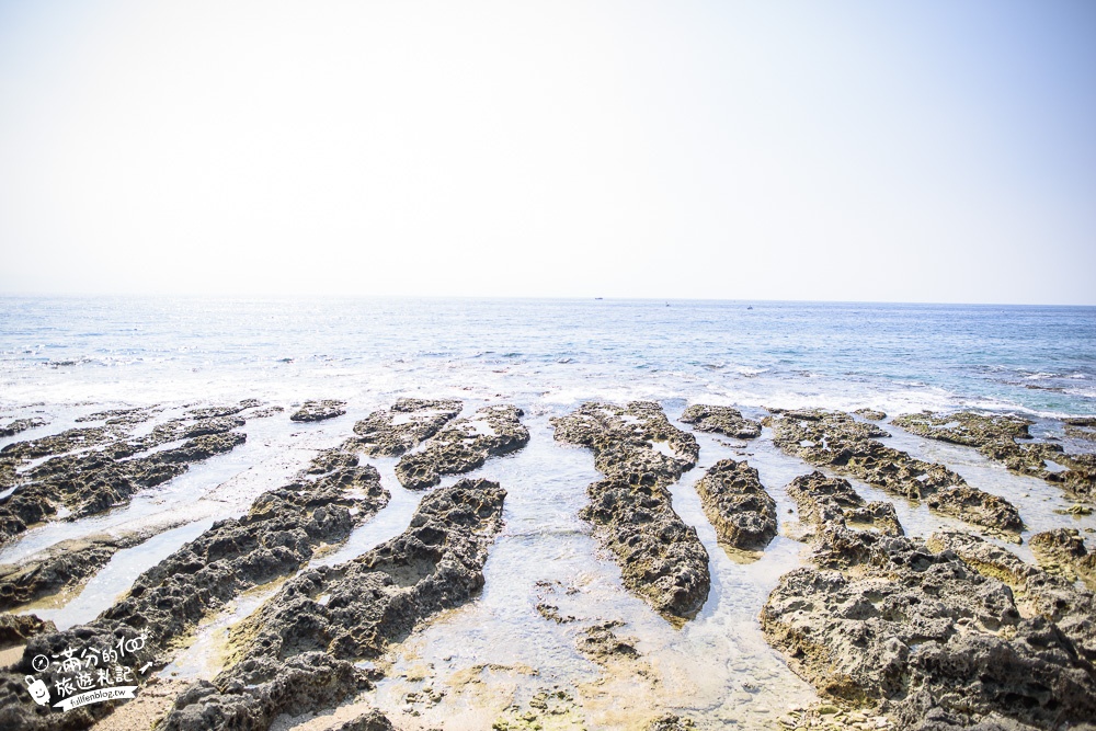 小琉球網美木在哪裡？小琉球海景秘境(免門票),珊瑚礁岩之美~在漂流木上眺望蔚藍大海!