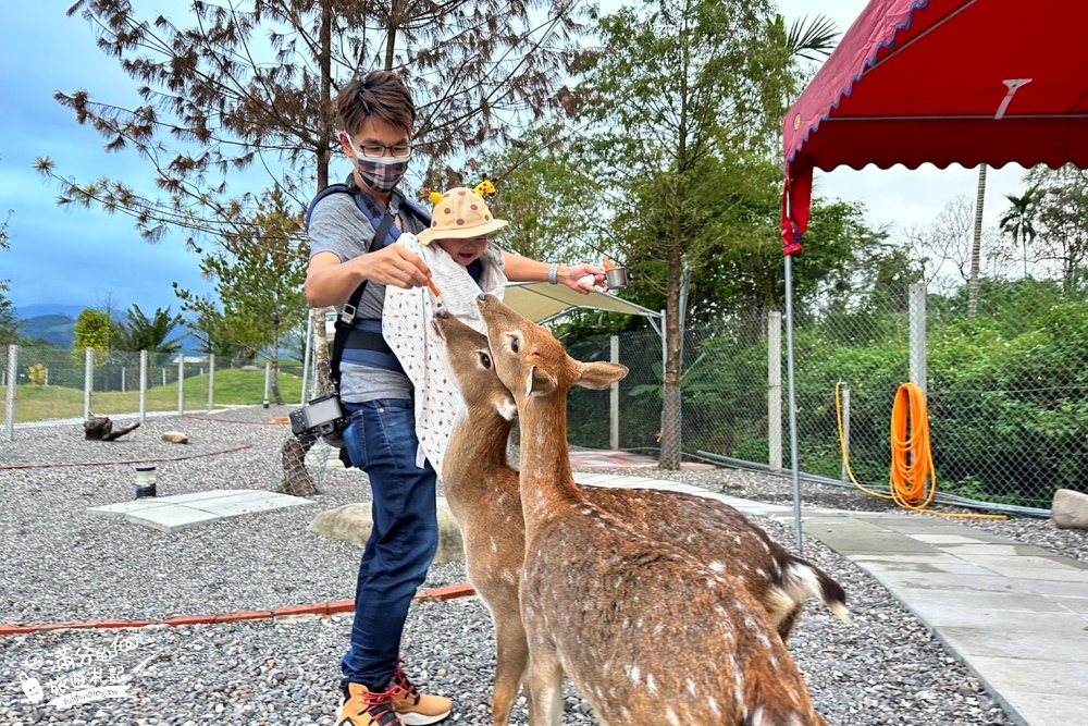 宜蘭景點|鹿爺爺|宜蘭餵鹿親子秘境,未滿2歲免費入園,看水豚泡澡,跳跳羊耍萌~還能喝咖啡下午茶!