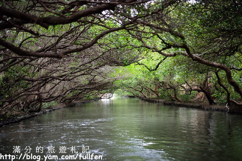 台南安南景點》四草綠色隧道|台灣迷你版的亞馬遜河~祕境後花園.遊湖欣賞紅樹林自然生態!