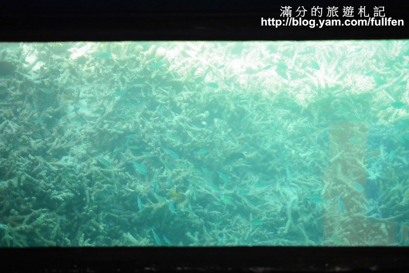 麗星郵輪-寶瓶星號岸上觀光~石垣島川平灣之旅