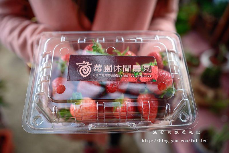 台北內湖景點|內湖採草莓趣.白石湖草莓園&莓圃休閒農園 ~草莓季開始囉!!!